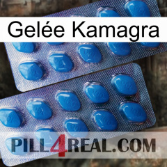 Gelée Kamagra viagra2
